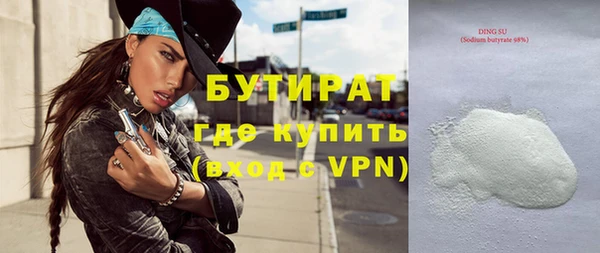 гашик Алексин