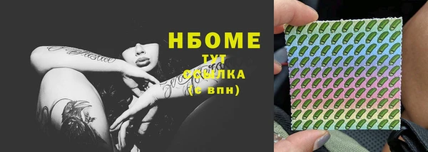 гашик Алексин