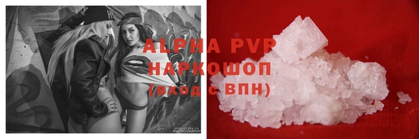 гашик Алексин