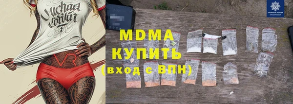 гашик Алексин