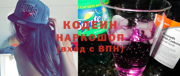 гашик Алексин