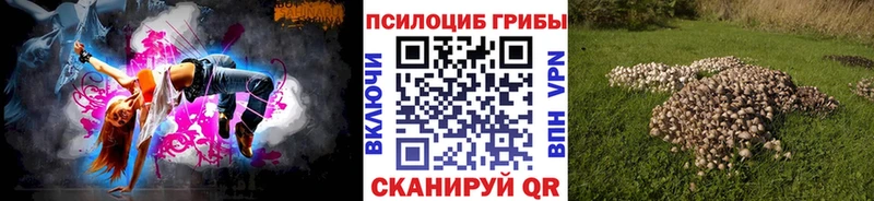 закладки  Амурск  OMG рабочий сайт  Галлюциногенные грибы мицелий 